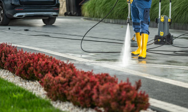 Best Vinyl Siding Pressure Washing in Zumbrota, MN